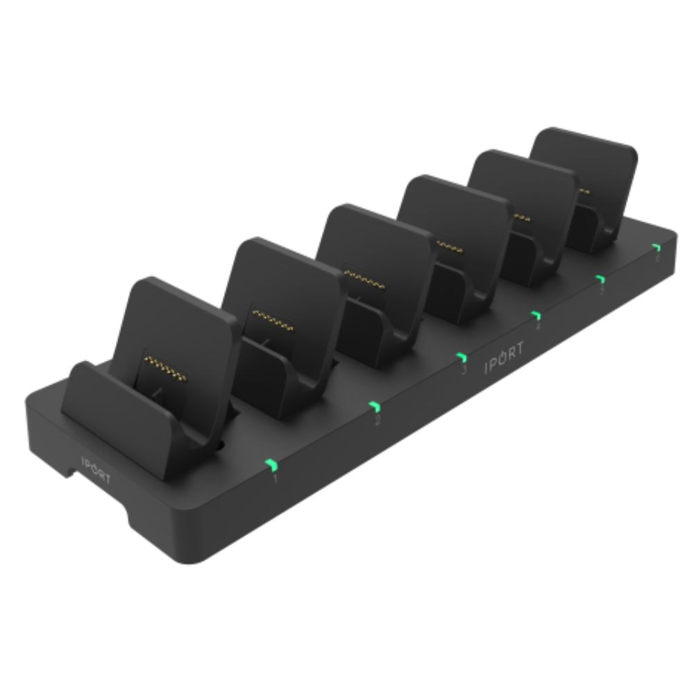 IPORT Connect Multi Dock 6